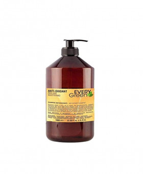 Dikson everygreen anti-oxidant shampoo antiossidante 1000 ml