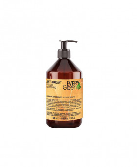 Dikson everygreen shampoo anti-oxidant 500ml